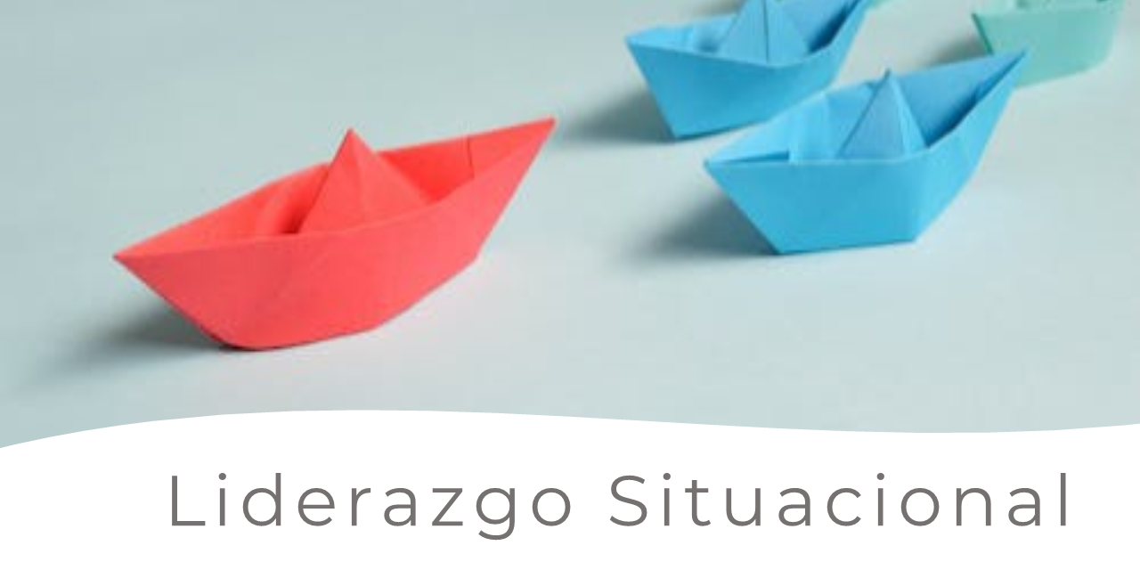 liderazgo situaional