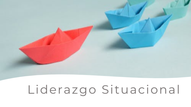 liderazgo situaional