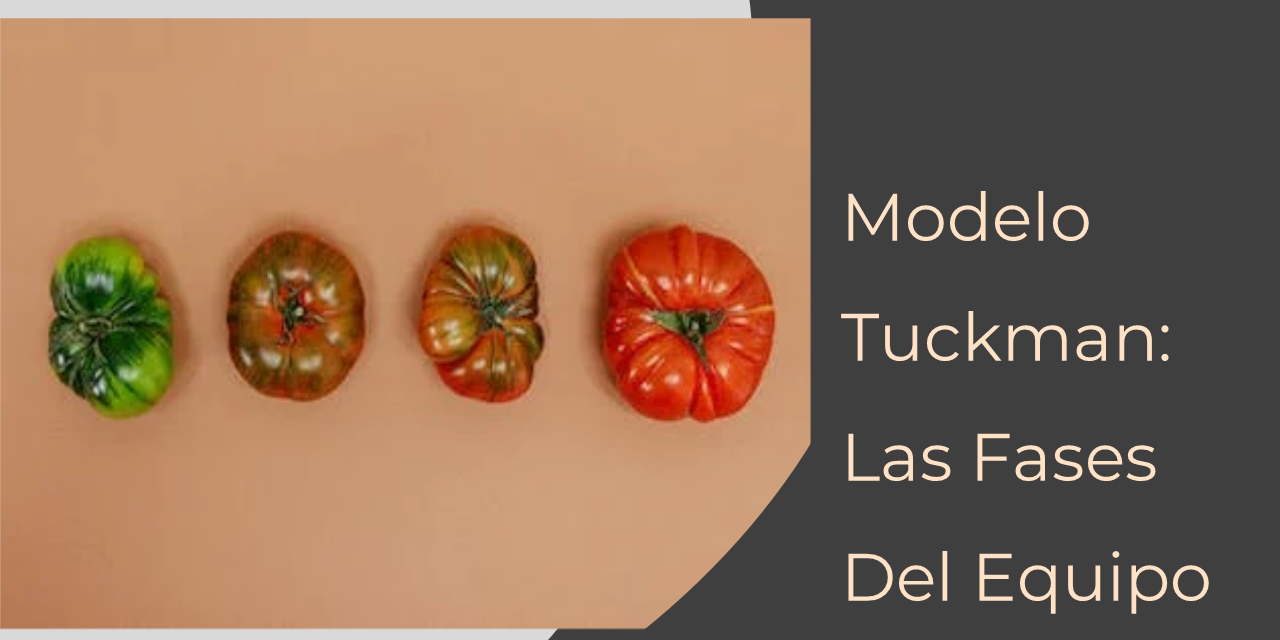 modelo tuckman equipos