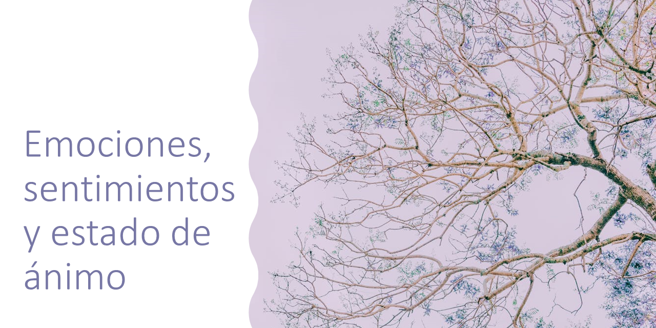 emociones sentimientos